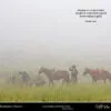 BG23DP Day Planner "On the Trail" 2023