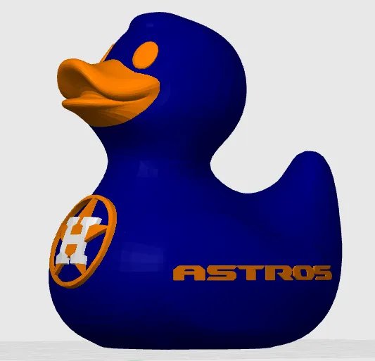 Custom Sports Team Duck