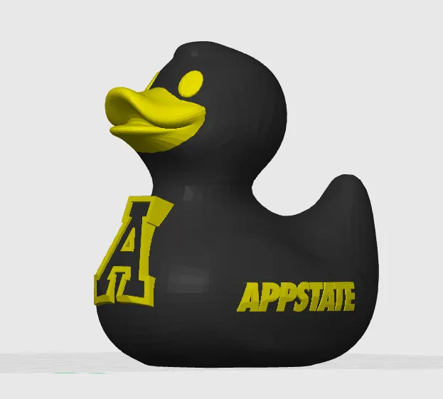 Custom Sports Team Duck
