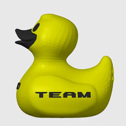 Custom Sports Team Duck
