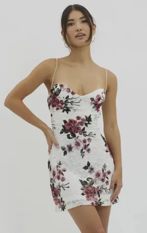Cynthia Mini
