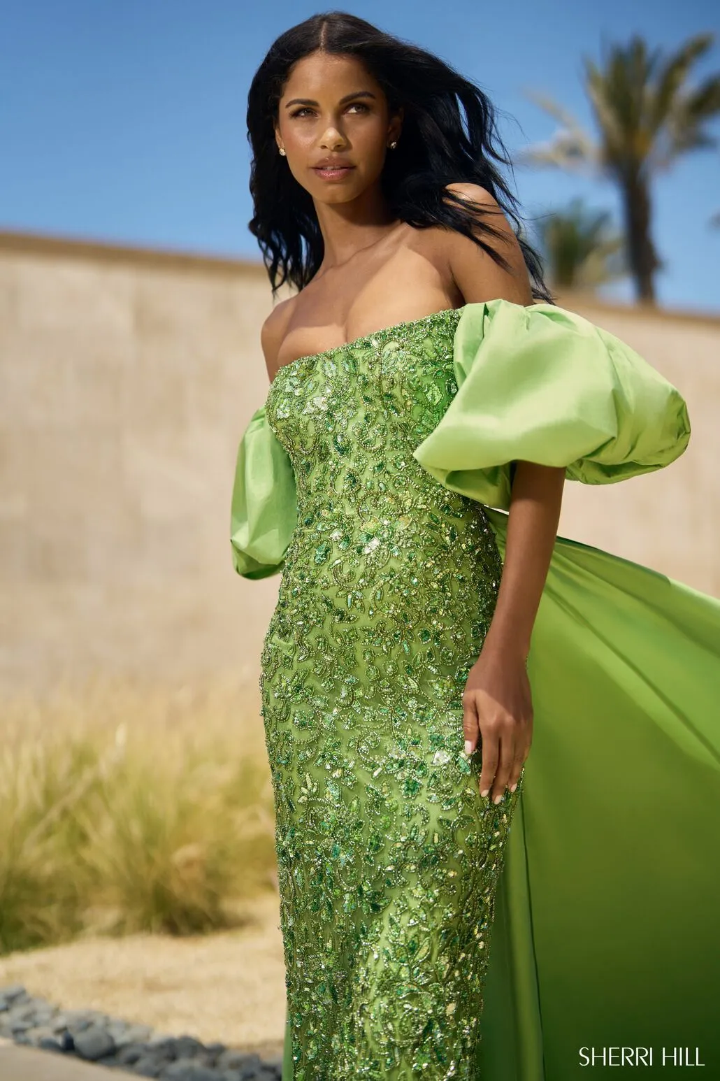 Sherri Hill 55632 Dresses
